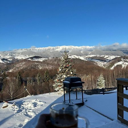 Hotel Cabanuta Din Munti Moieciu de Jos Exteriér fotografie