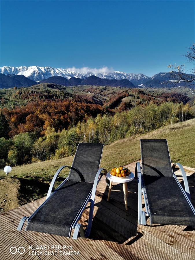Hotel Cabanuta Din Munti Moieciu de Jos Exteriér fotografie