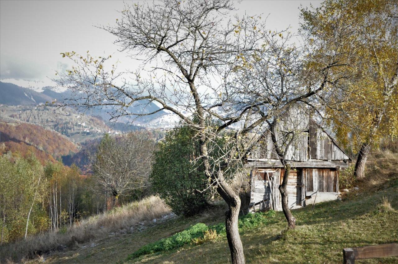 Hotel Cabanuta Din Munti Moieciu de Jos Exteriér fotografie