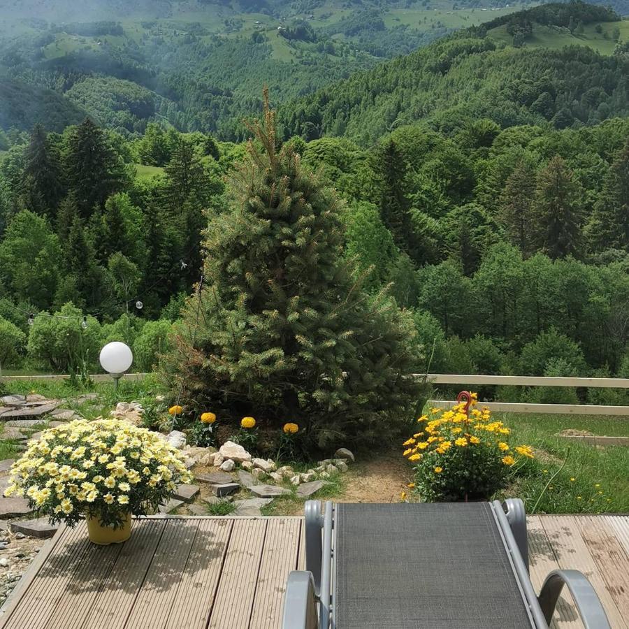 Hotel Cabanuta Din Munti Moieciu de Jos Exteriér fotografie