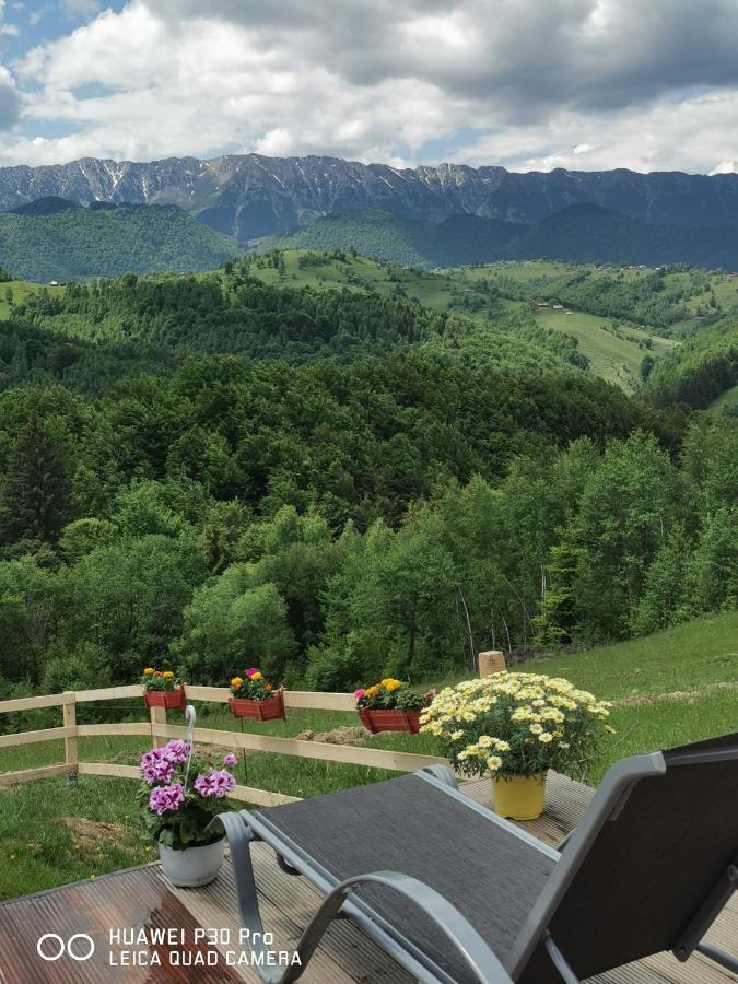 Hotel Cabanuta Din Munti Moieciu de Jos Exteriér fotografie