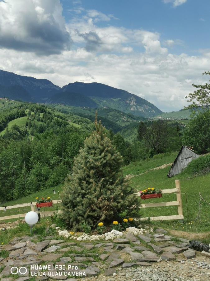 Hotel Cabanuta Din Munti Moieciu de Jos Exteriér fotografie