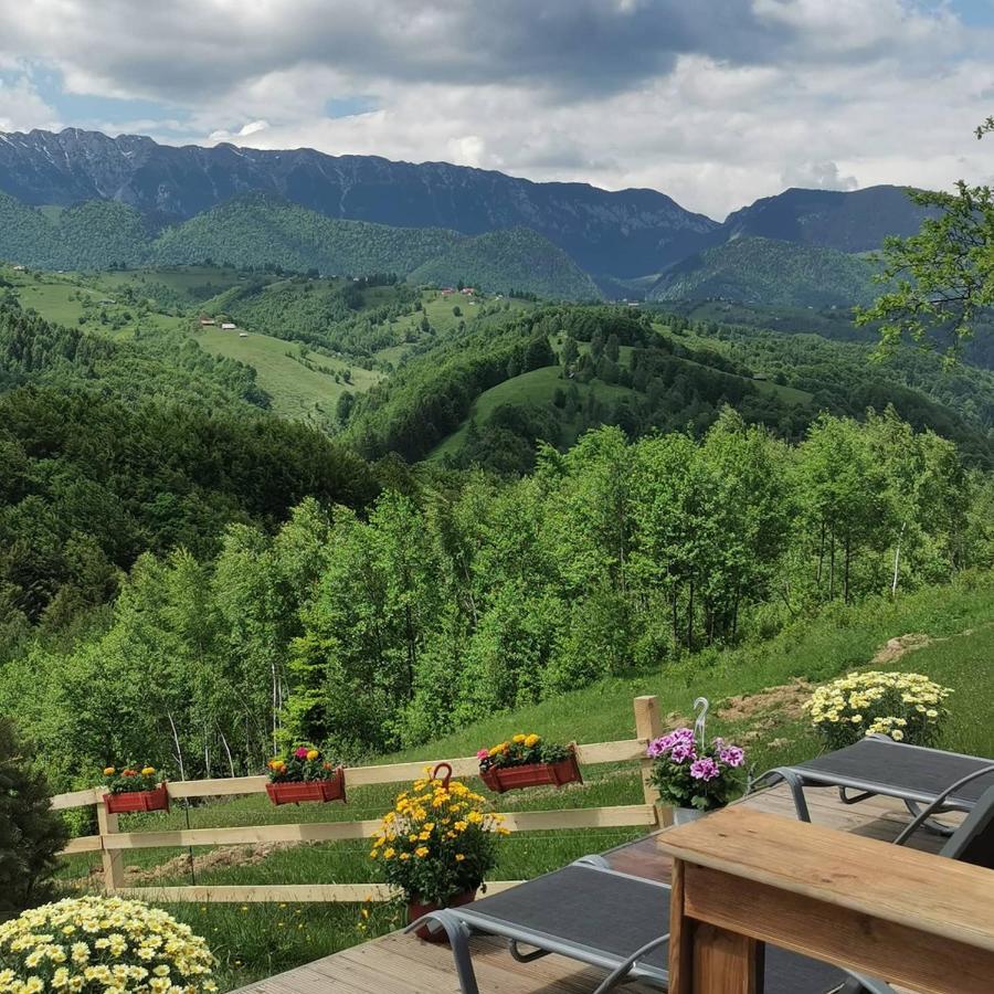 Hotel Cabanuta Din Munti Moieciu de Jos Exteriér fotografie