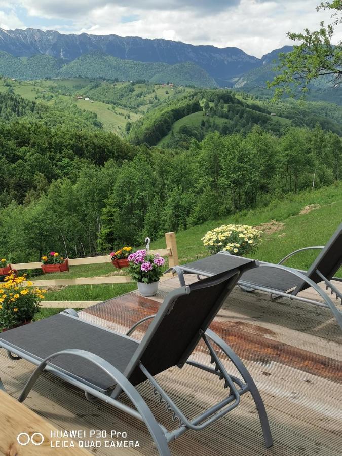 Hotel Cabanuta Din Munti Moieciu de Jos Exteriér fotografie