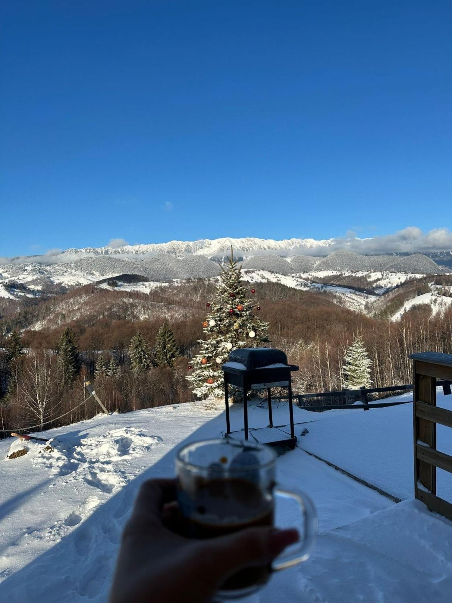 Hotel Cabanuta Din Munti Moieciu de Jos Exteriér fotografie
