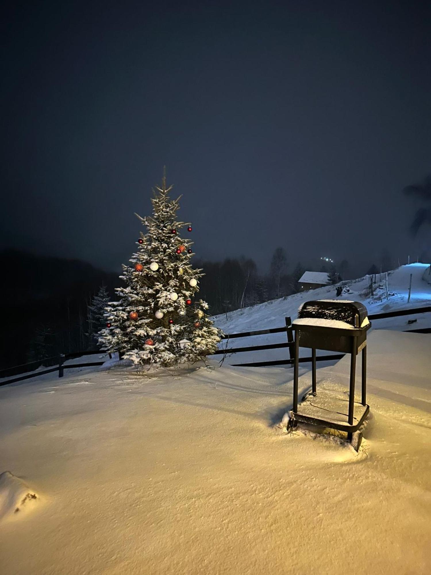 Hotel Cabanuta Din Munti Moieciu de Jos Exteriér fotografie