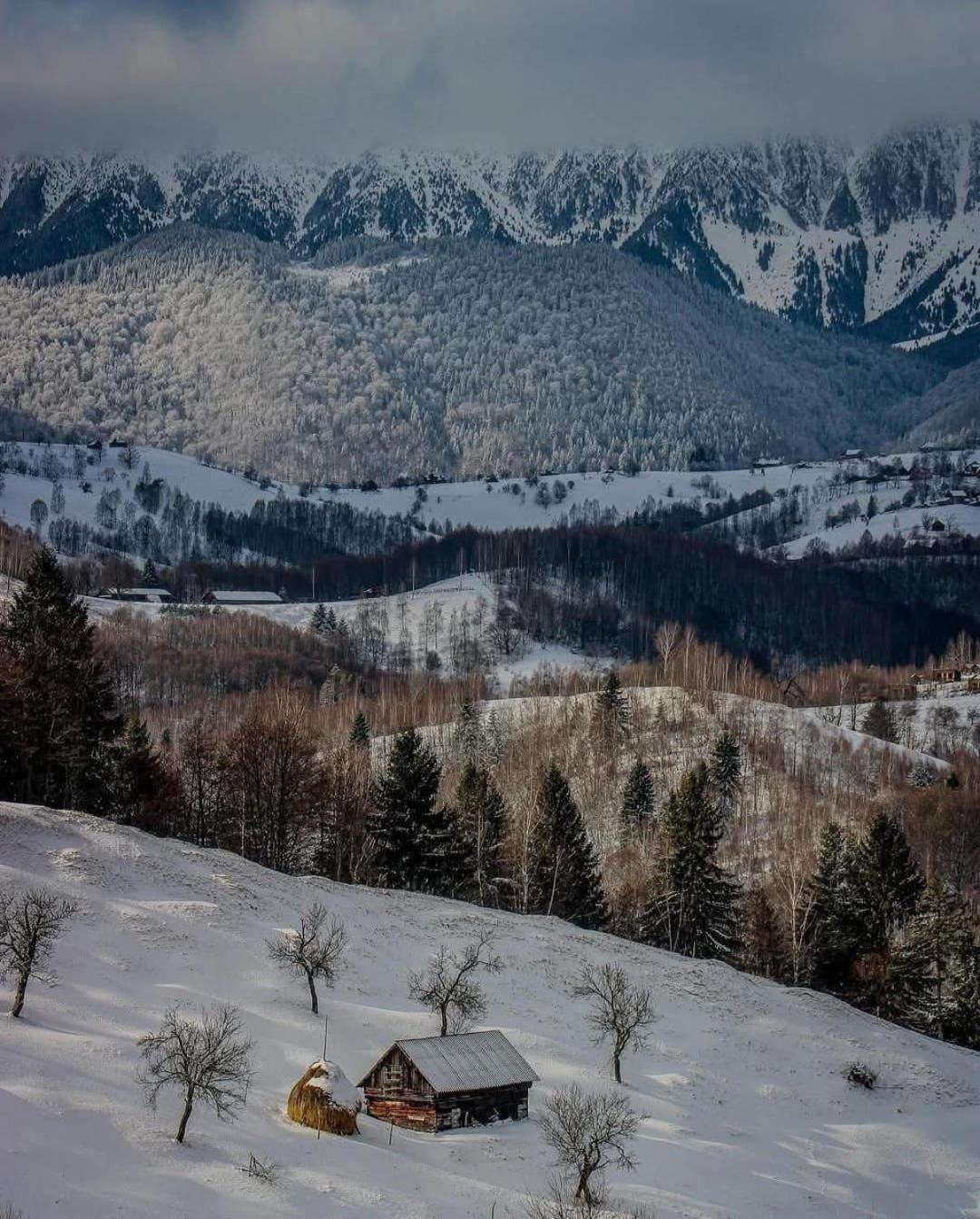 Hotel Cabanuta Din Munti Moieciu de Jos Exteriér fotografie